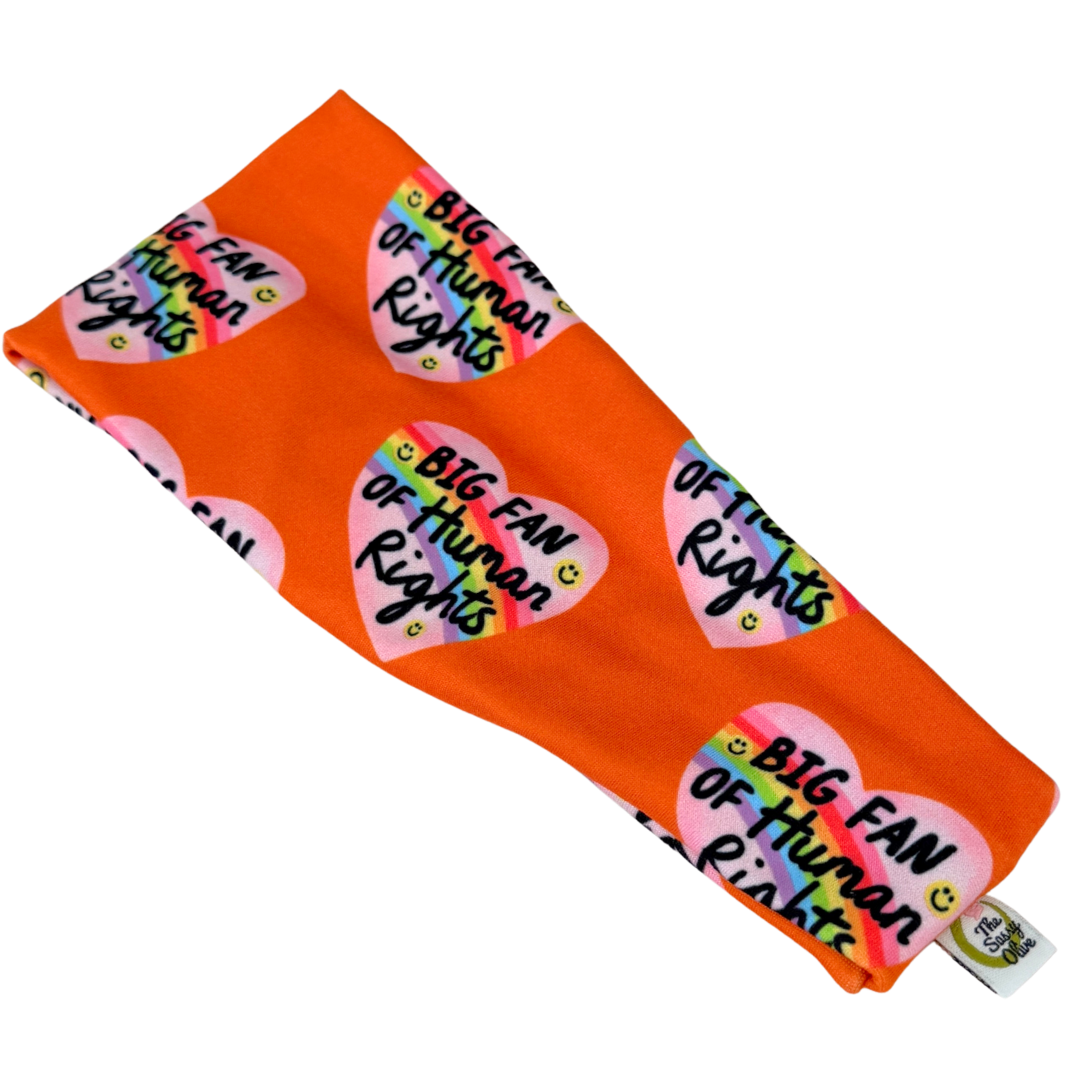 Big Fan of Human Rights Stretch Headband - The Sassy Olive