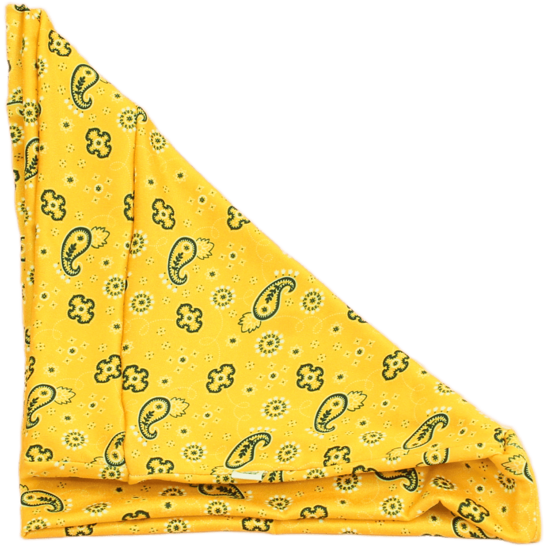 Buster Bandana Paisley Boho Buff - The Sassy Olive