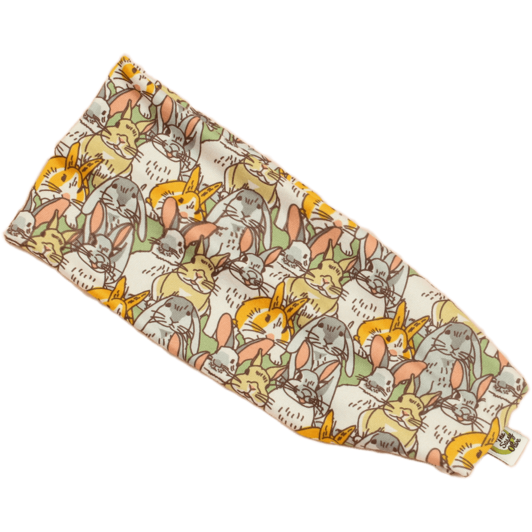 Hoppin n Poppin Stretch Headband - The Sassy Olive