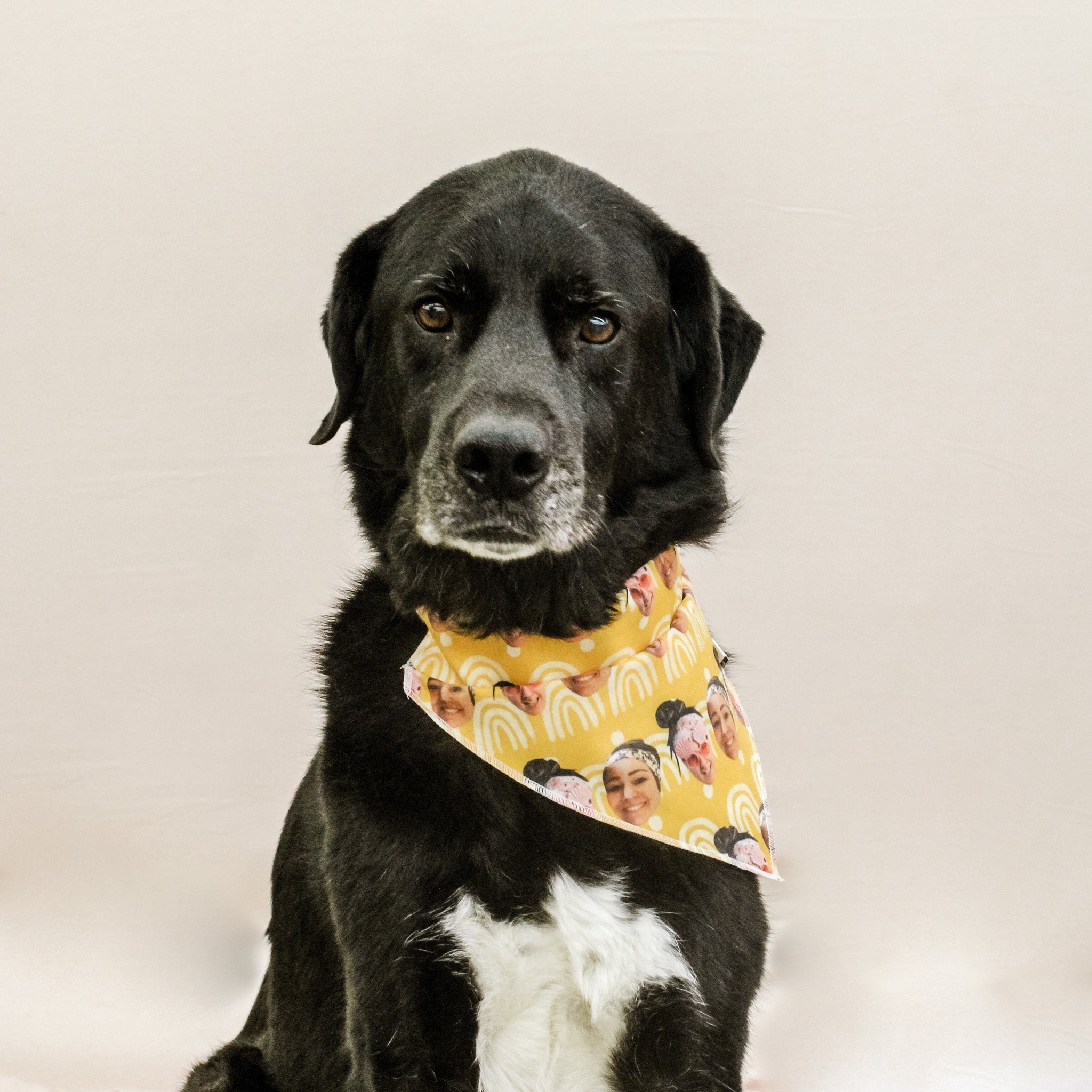 Custom Pet Bandana & Headband Bundle - The Sassy Olive