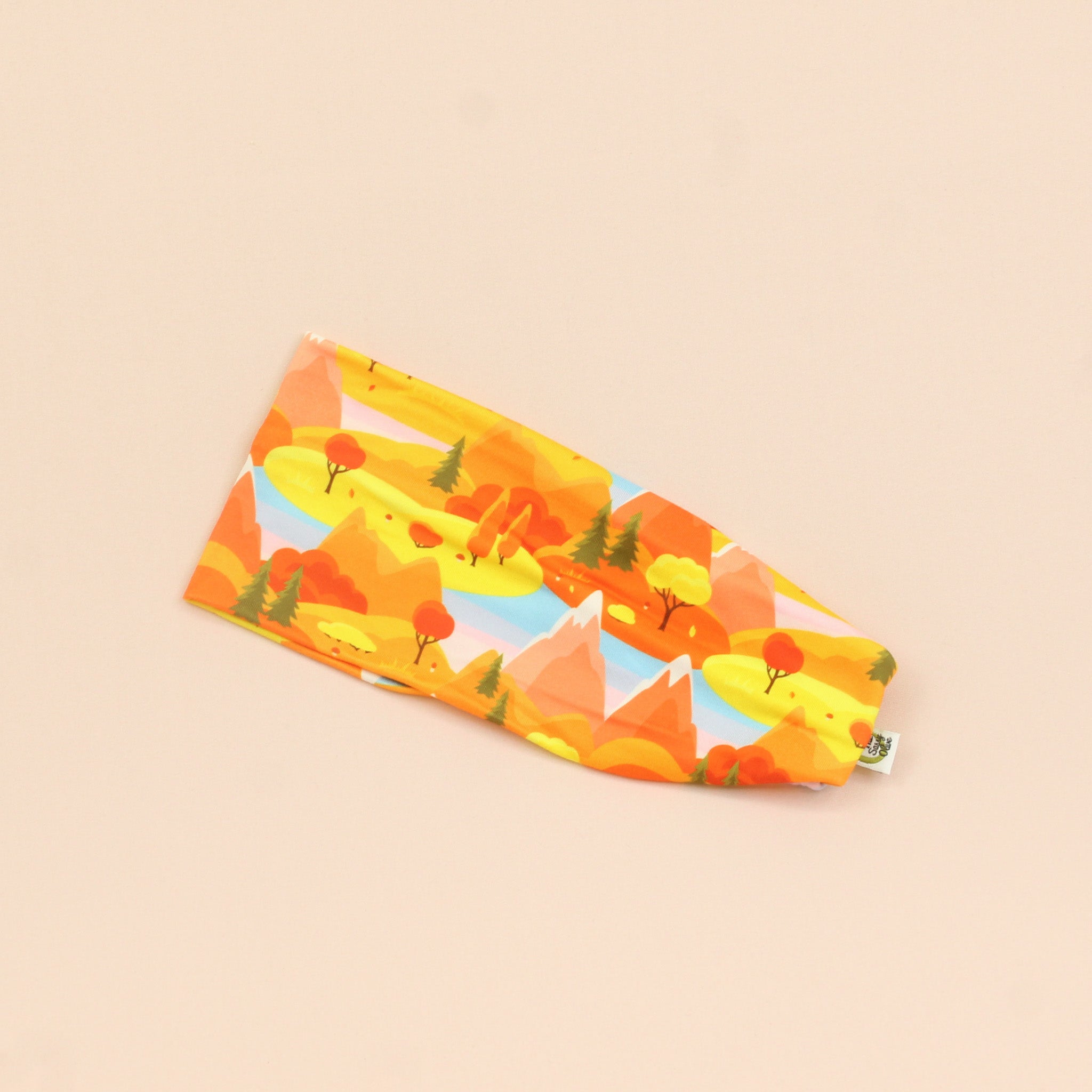 Hidden Valley Stretch Headband - The Sassy Olive