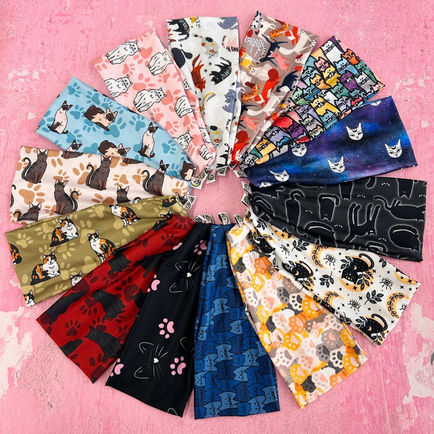 Cats - The Sassy Olive