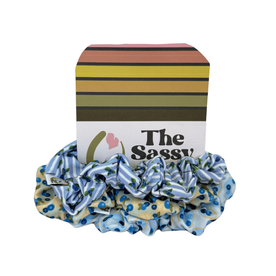 Blueberry Scrunchie Pack