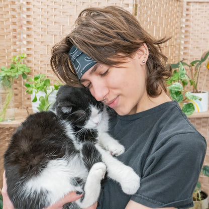 Black Cats Stretch Headband - The Sassy Olive