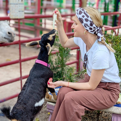 Brown Cow Print Top Knot Headband - The Sassy Olive