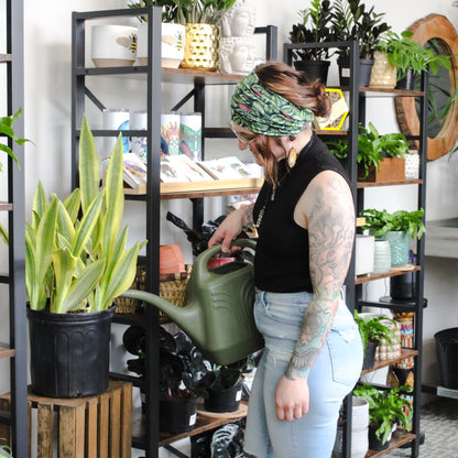 Calathea Wrap Headband - The Sassy Olive