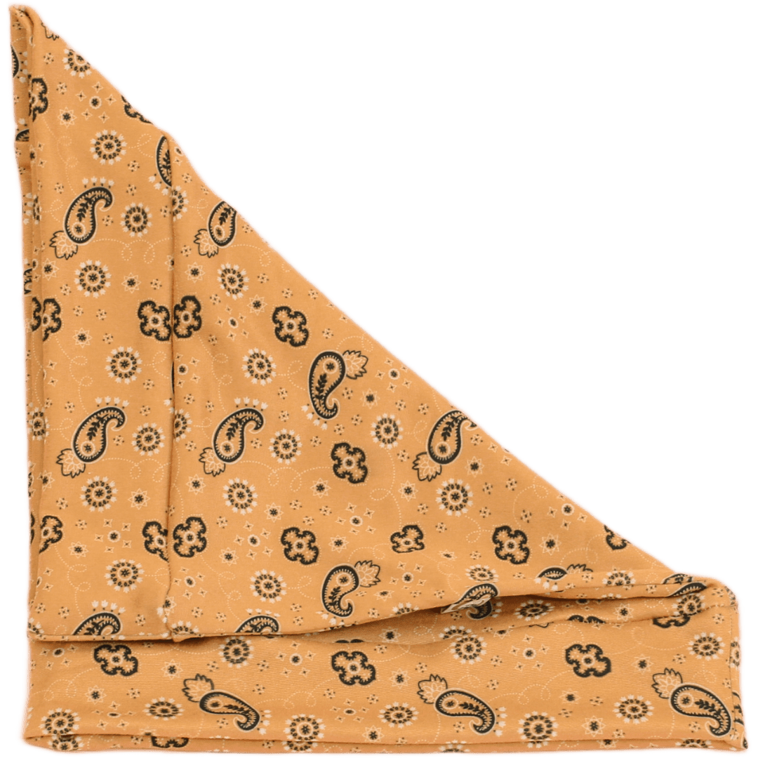 Decker Bandana Paisley Boho Buff - The Sassy Olive