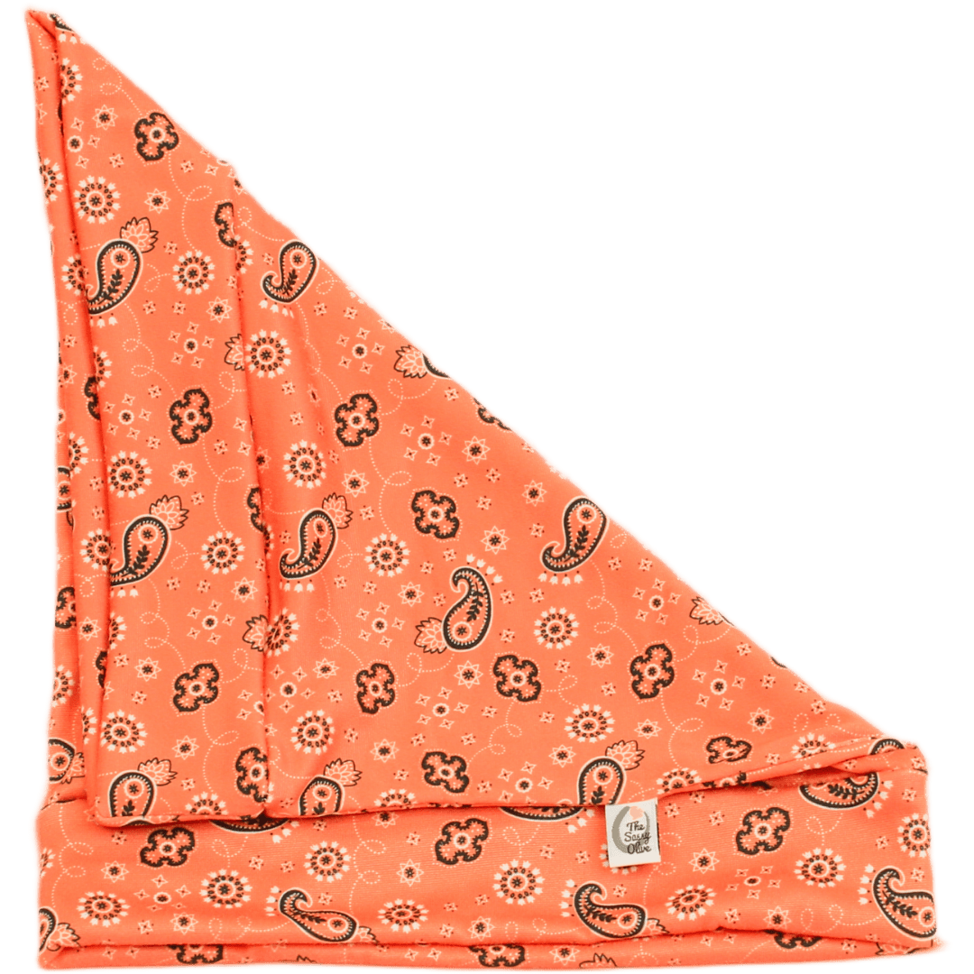 Destry Bandana Paisley Boho Buff - The Sassy Olive