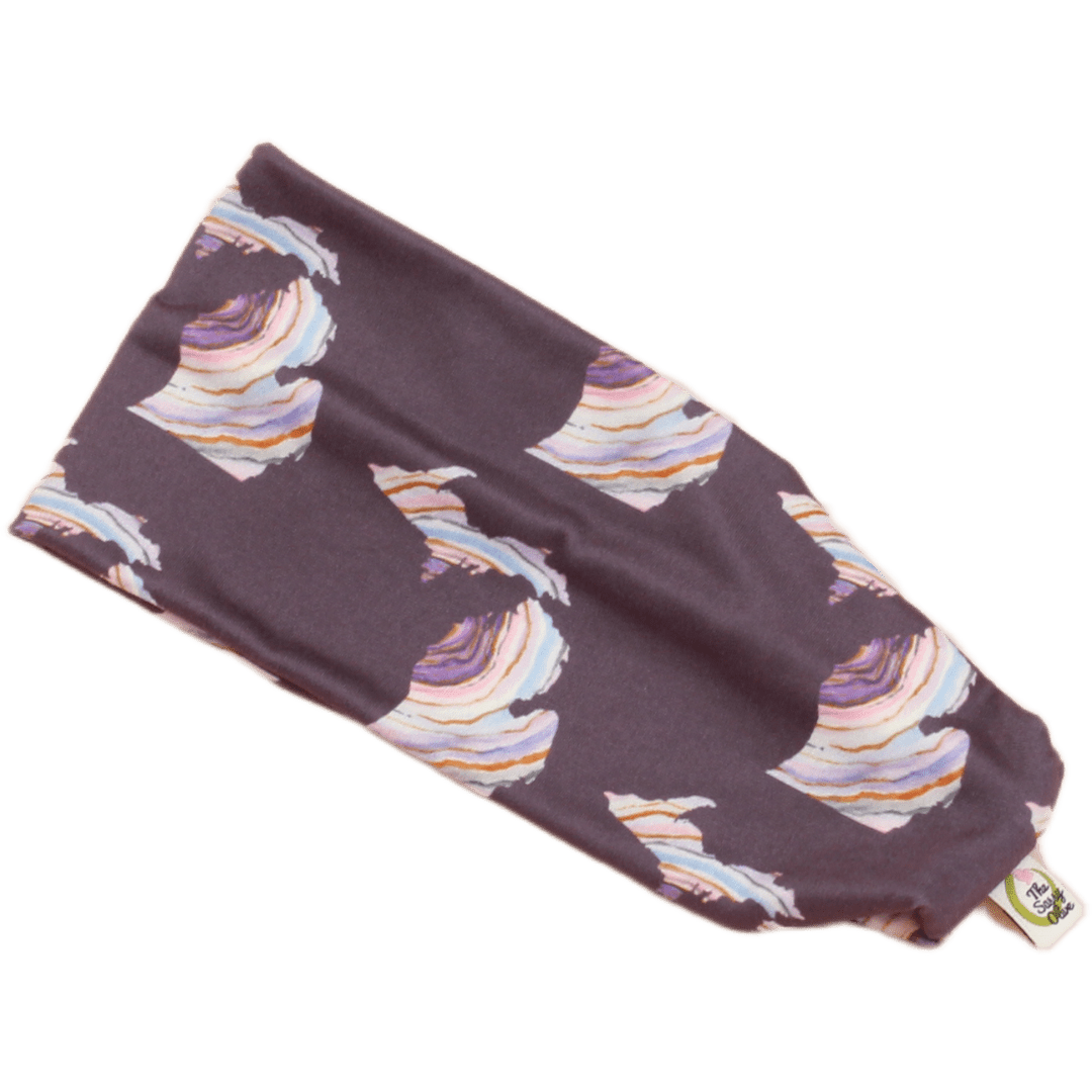 Fresh Superior Michigan Stretch Headband - The Sassy Olive