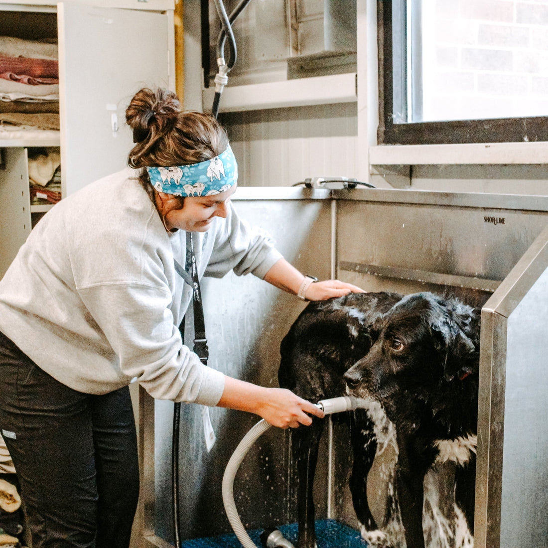 Great Pyrenees Stretch Headband - The Sassy Olive