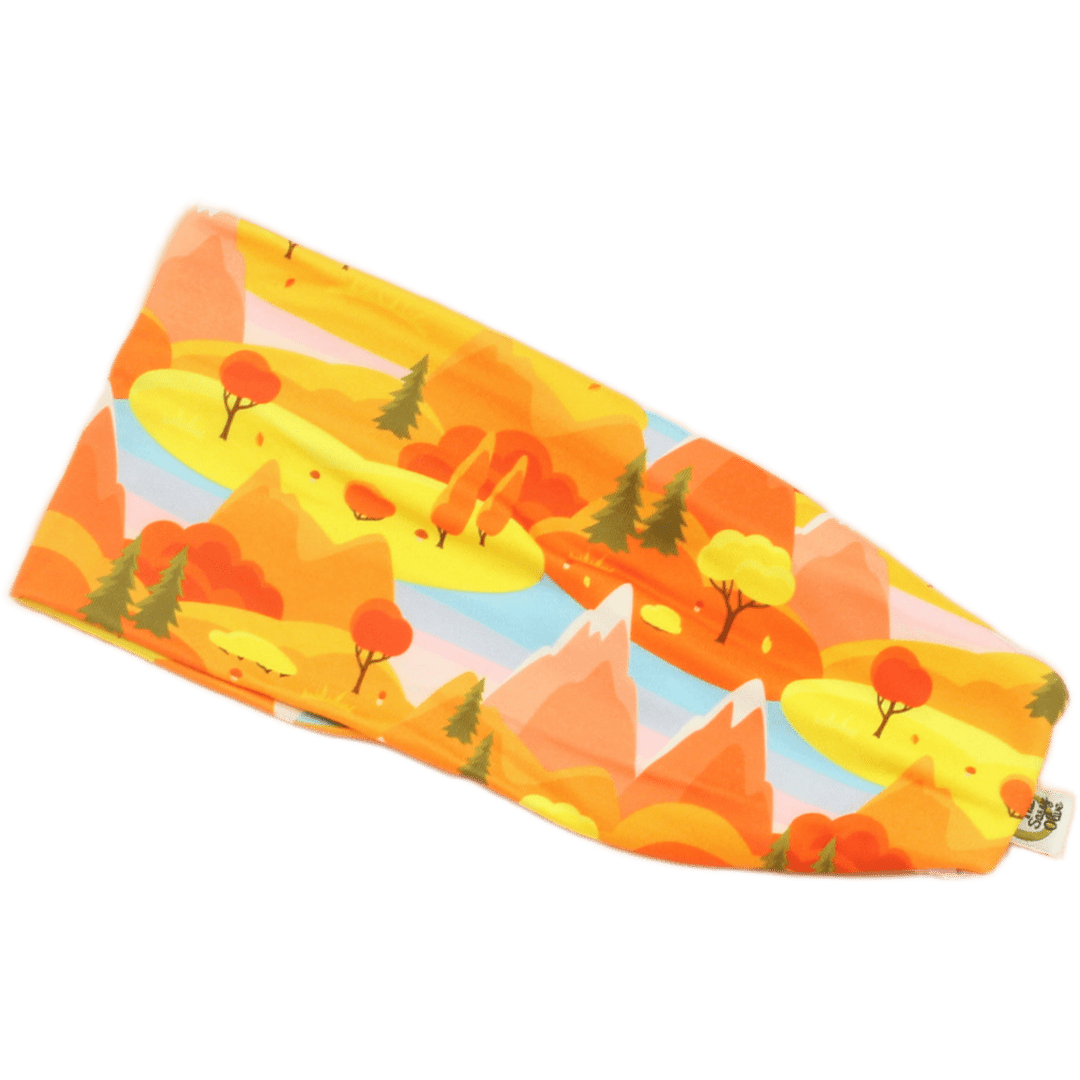 Hidden Valley Stretch Headband - The Sassy Olive