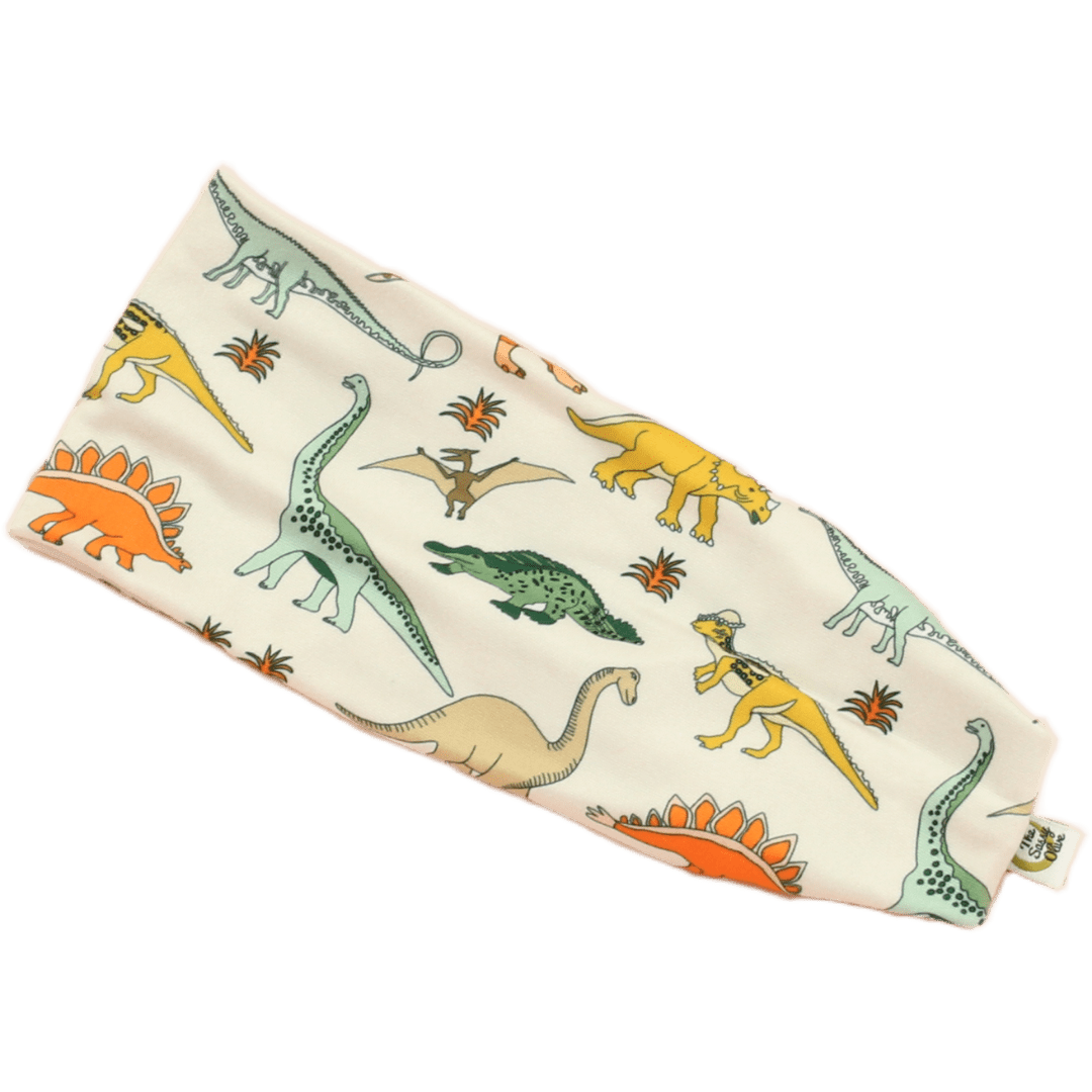 Land Before Time Stretch Headband - The Sassy Olive