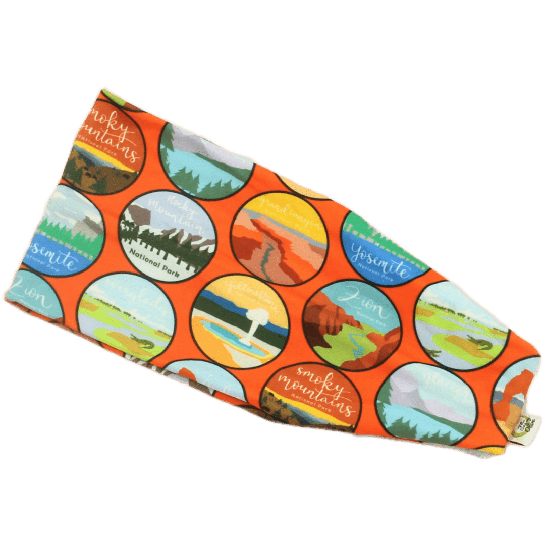 National Park Pass Stretch Headband - The Sassy Olive