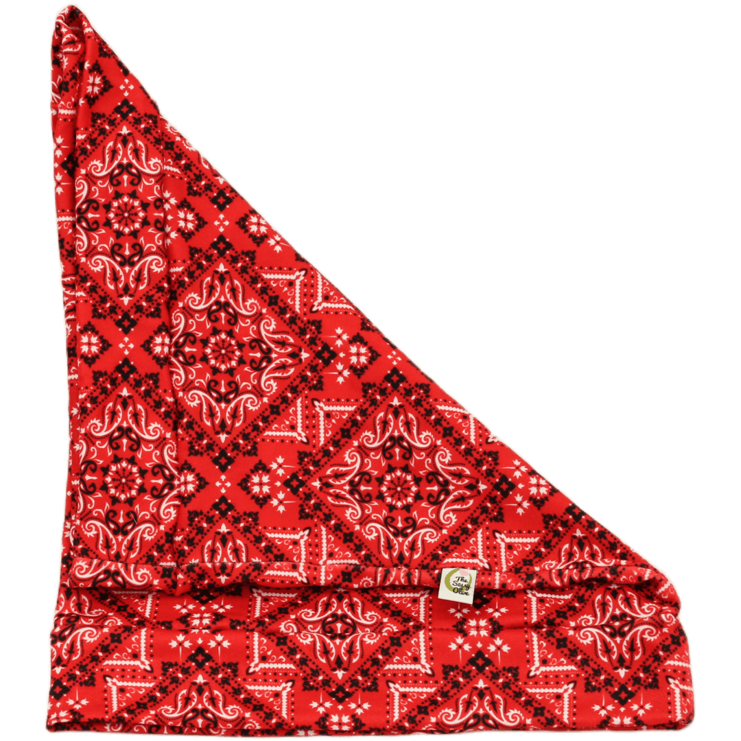 Red Bandana Paisley Boho Buff - The Sassy Olive
