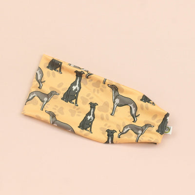 Greyhound Stretch Headband - The Sassy Olive